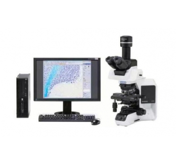 奧林巴斯BX53生物顯微鏡
